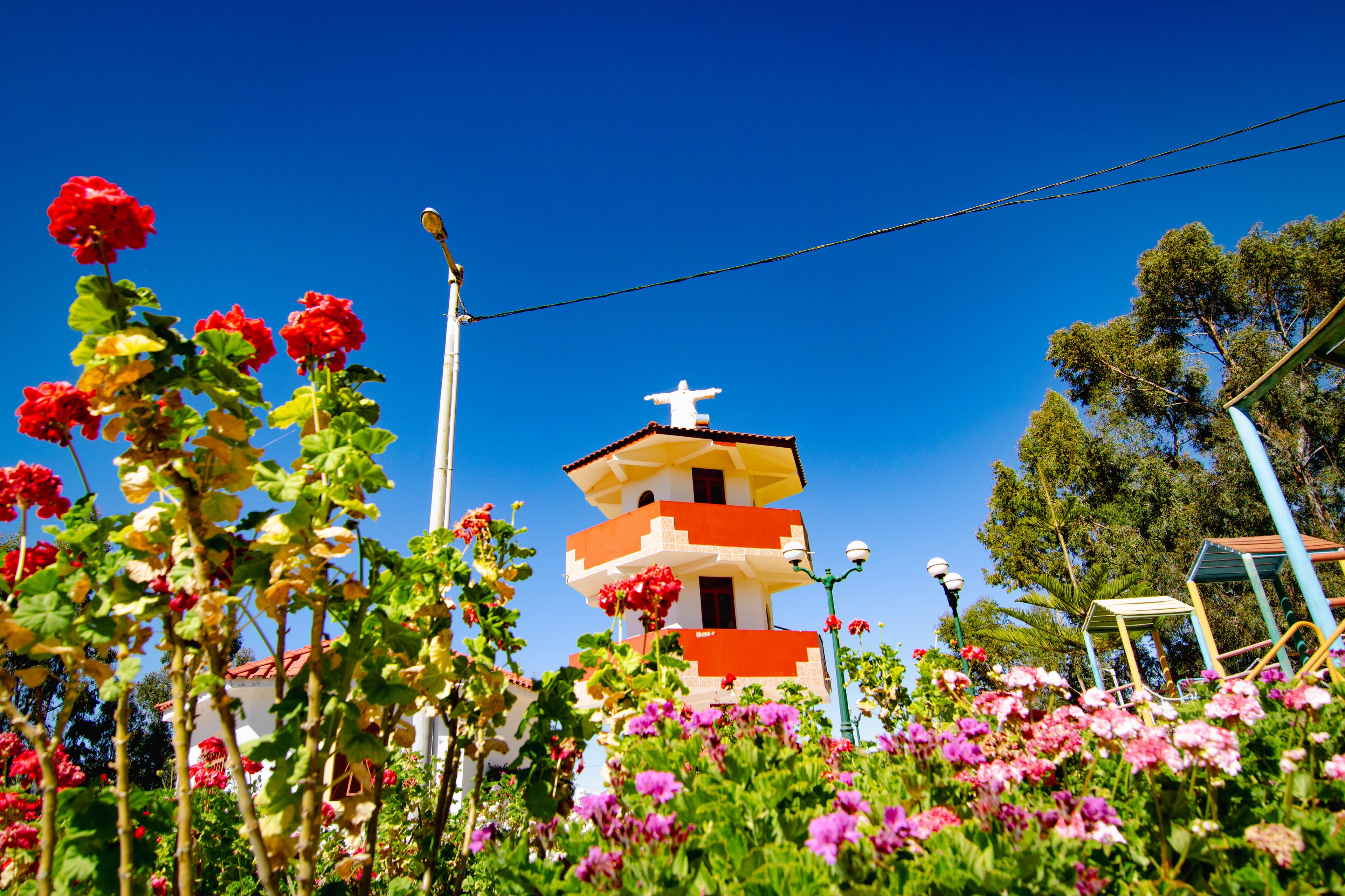 Ticaco - Tierra de las flores